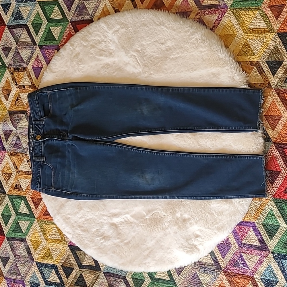 American Eagle Outfitters Dark Wash Denim Blue Jean Jeggings Size 10 L